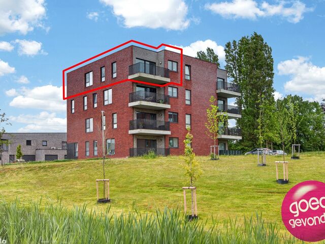 Appartement in Tongeren-Borgloon
