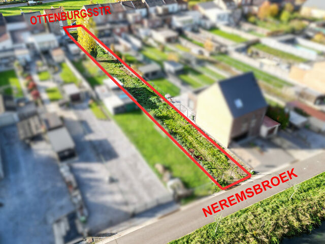 Bouwgrond in Tongeren-Borgloon