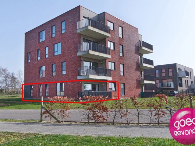 Gelijkvloerse verdieping in Tongeren-Borgloon